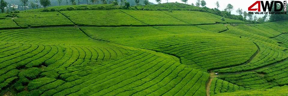 Bangalore Mysore Ooty Coimbatore
