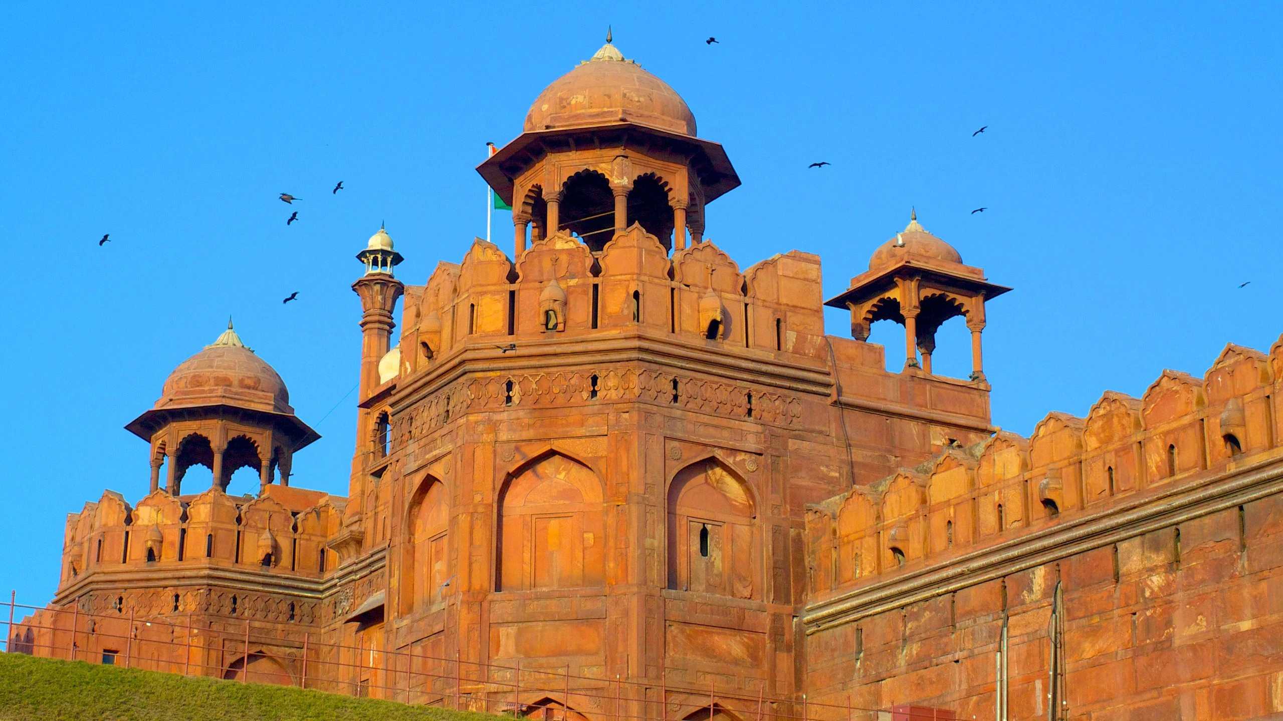 new delhi local tour packages
