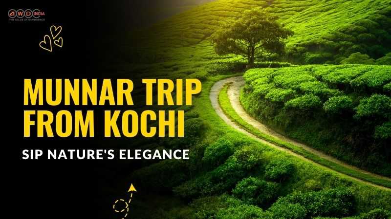 Munnar Trip from Kochi