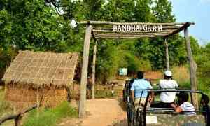 Bandhavgarh National Park