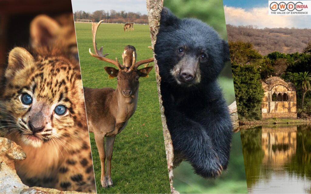 golden-triangle-tour-with-ranthambore