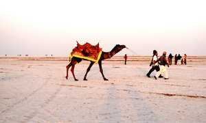 kutch-m