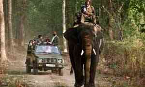 04 Nights and 05 Days
Customize Now This tour is as per your convenience. You are completely free to choose car, hotel, places to visit, and activities as per your wish and comfort. Or you may also follow the suggested itinerary to help you plan your trip.
Mysore (2N)
Kabini River Lodge (1N)
Bandipur (1N)