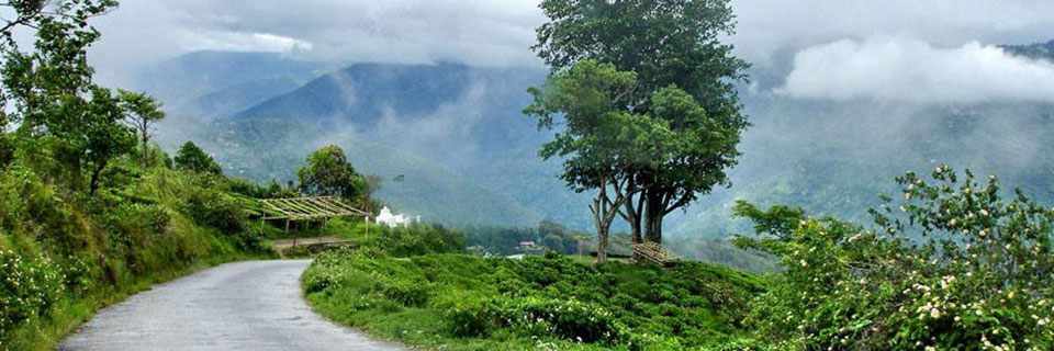 Darjeeling - Pelling - Gangtok - Kalimpong - Bagdogra