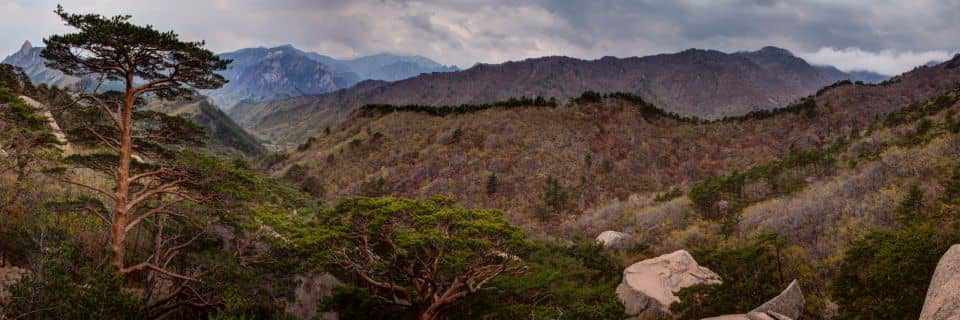 Guwahati - Kaziranga National Park - Majuli - Jorhat - Mokochung - Mon - Dibrugarh - Pasighat - Along - Daporijo - Ziro - Tezpur - Dirang - Tawang - Shillong - Cherrapunjee