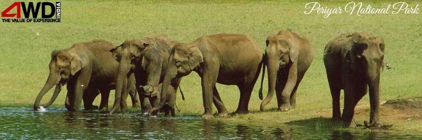 periyar-national-park