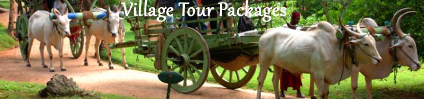 village tour packages