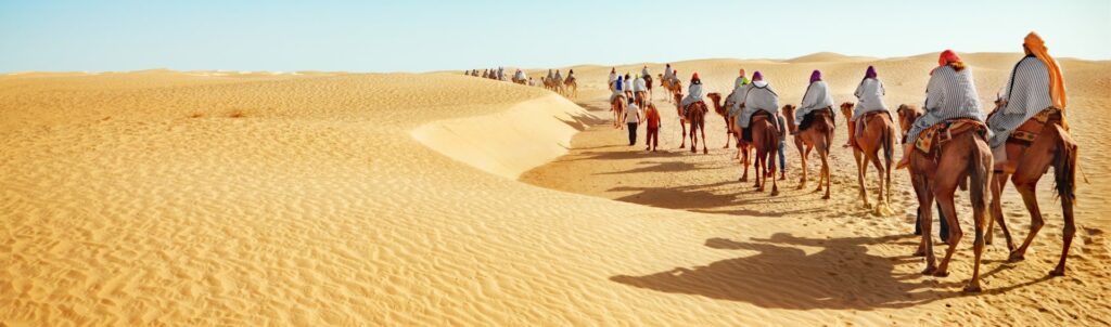 15 Nights and 16 Days
 Customize Now This tour is as per your convenience. You are completely free to choose car, hotel, places to visit, and activities as per your wish and comfort. Or you may also follow the suggested itinerary to help you plan your trip.


Delhi (2N)
Agra (1N)
Jaipur (3N)
Pushkar (1N)
Udaipur (1N)
Jodhpur (2N)
Manvar (1N)
Jaisalmer (1N)
Bikaner (2N)
Mandawa (1N)