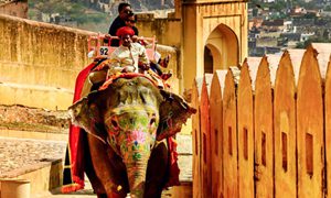 one day jaipur tour package