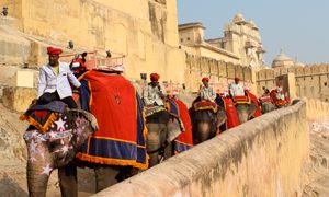 jaipur one day city tour