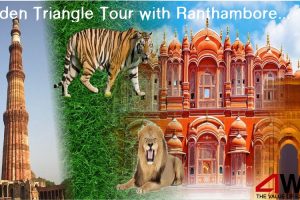 Golden Triangle Tour with Ranthambore