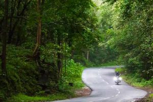 Golden-Triangle-with-Banglore-and-Coorg