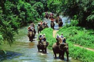 orissa-wildlife